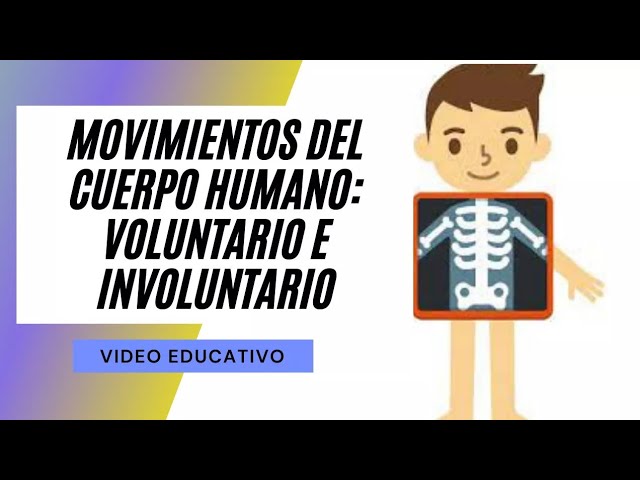 movimientos voluntarios e involuntarios para niños