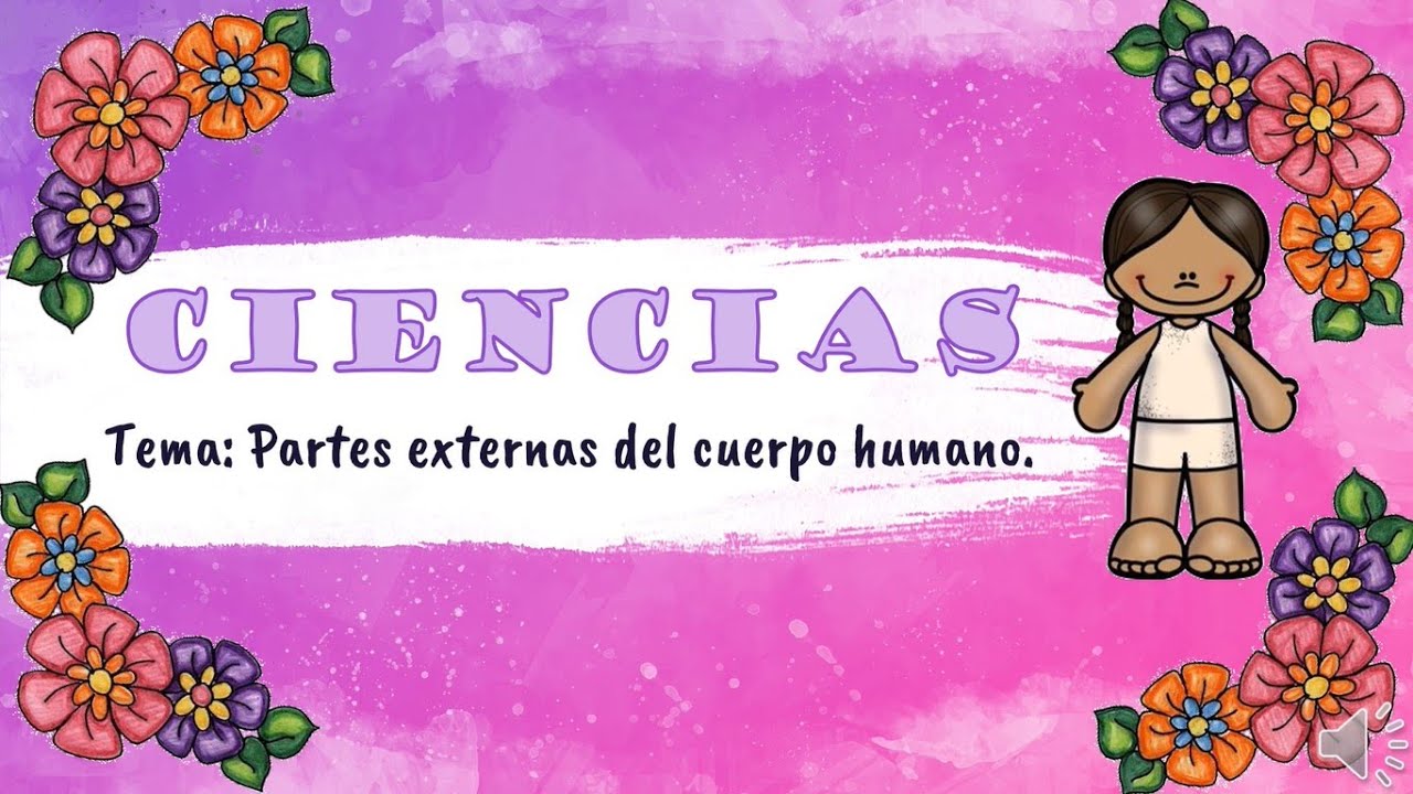 partes externas del cuerpo humano y sus funciones