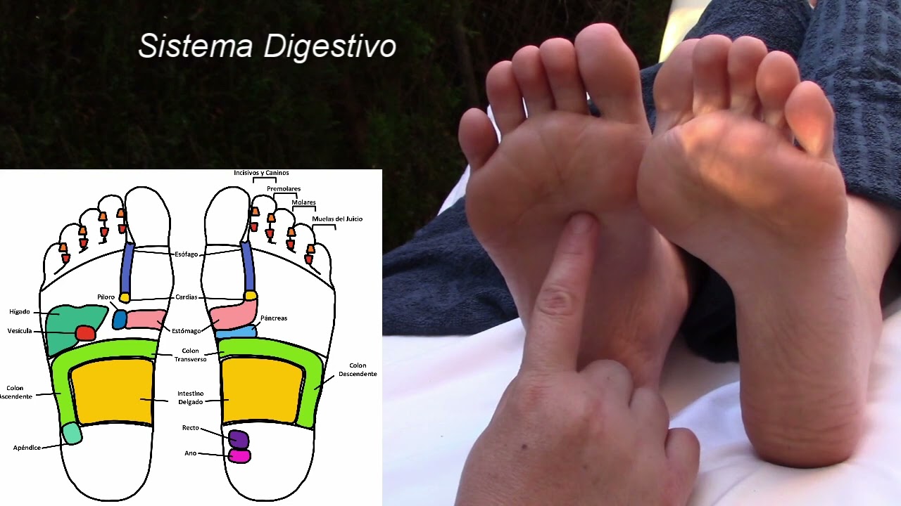 puntos de reflexologia en los pies