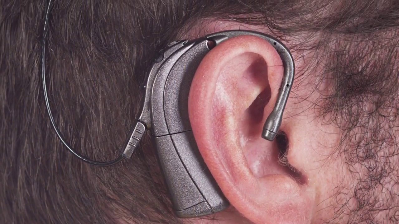 que funcion tiene el nervio auditivo