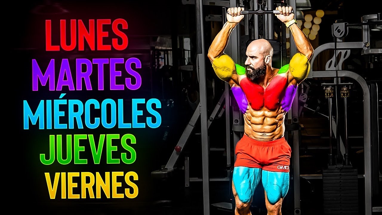 que trabajar cada dia en el gym