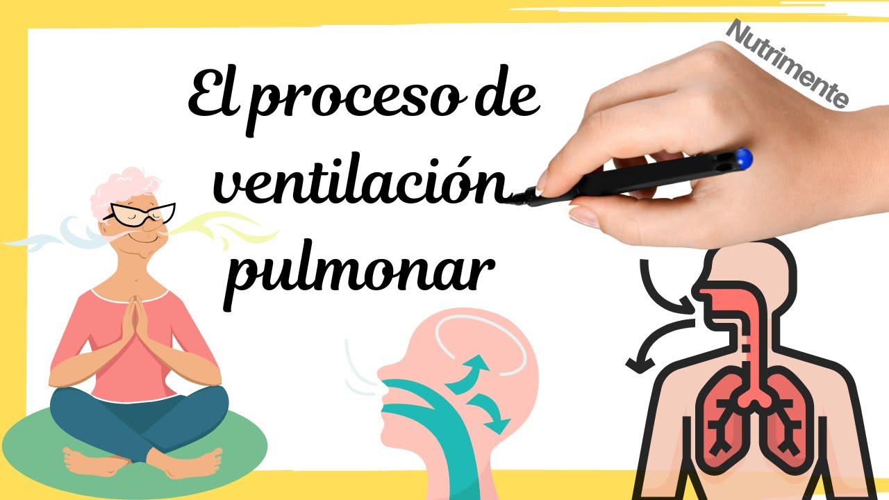 como se calcula la ventilacion pulmonar