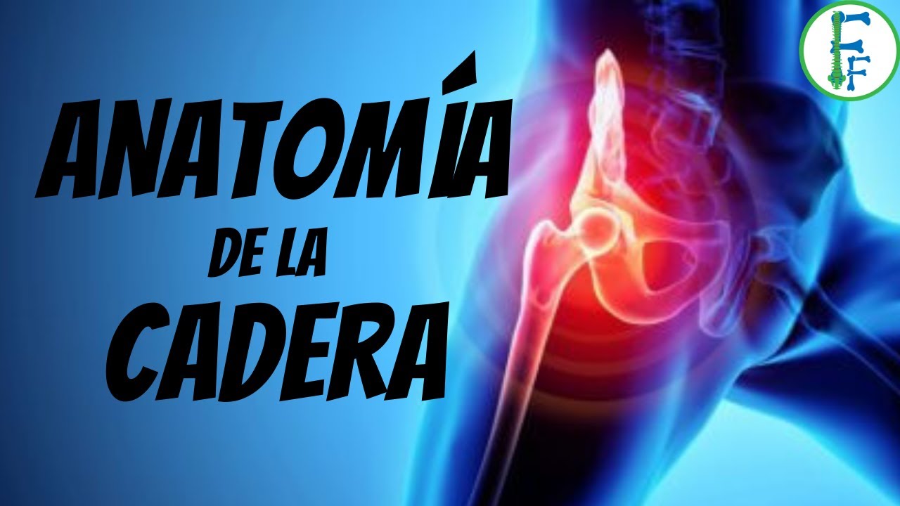 cuales son las caderas de una mujer