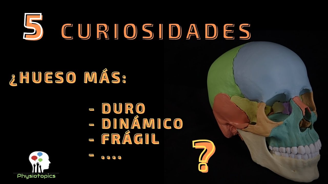 hueso mas duro de la cabeza
