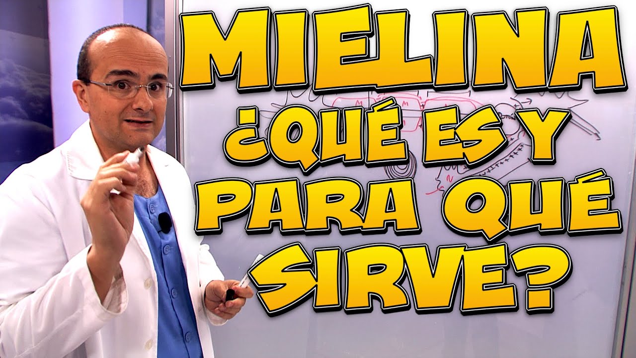 que fibras nerviosas estan recubiertas por mielina