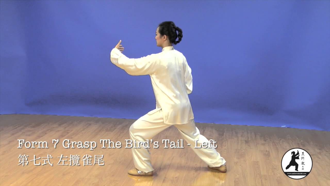 tai chi chuan 24 movimientos paso a paso